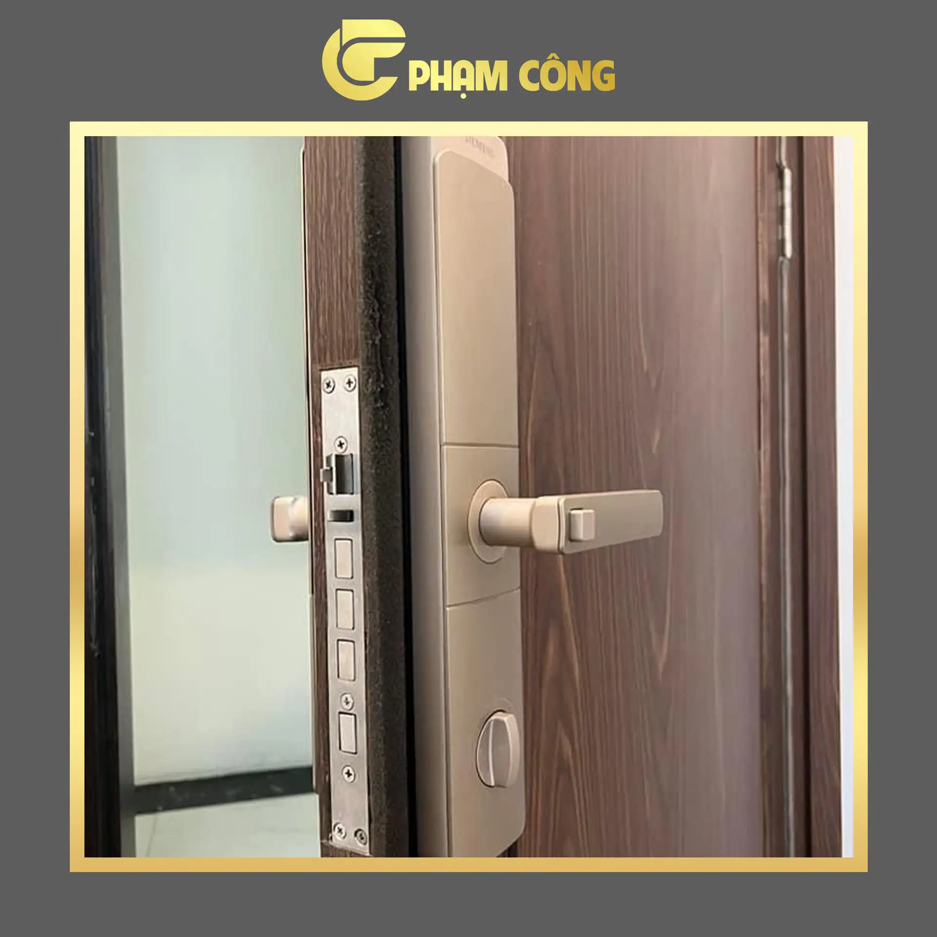 KHÓA ĐIỆN TỬ SIEMENS C320 Gold - Ảnh 3
